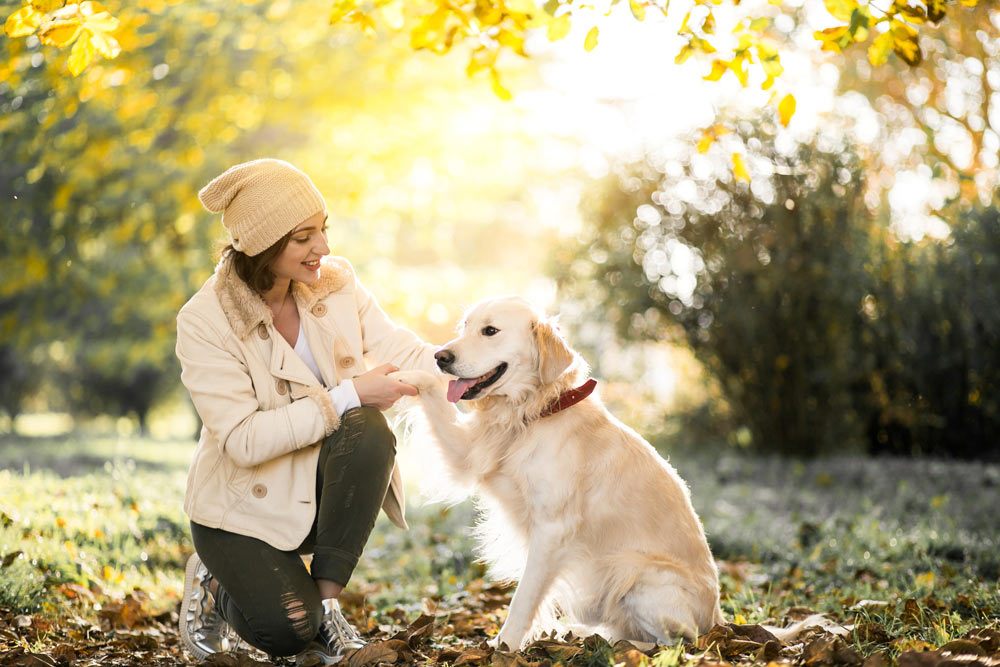 Help your pets all year round