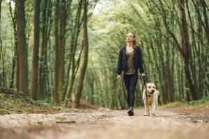 Pet care advice and top tips from MyPet to your pet