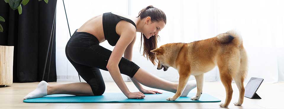 The practice of Doga – yoga for dogs!